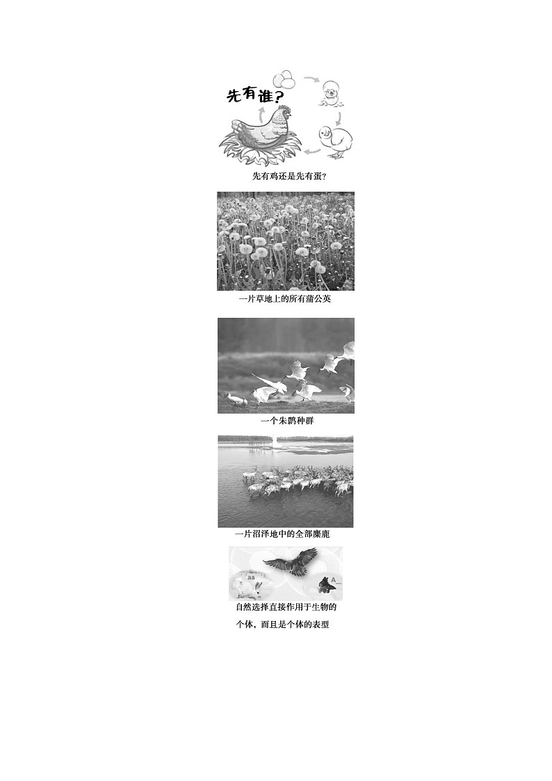 2024版新教材高中生物第6章生物的进化第3节种群基因组成的变化与物种的形成第1课时种群基因组成的变化学生用书学案新人教版必修203