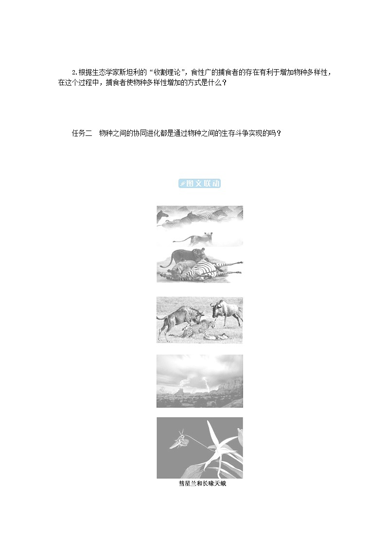 2024版新教材高中生物第6章生物的进化第4节协同进化与生物多样性的形成学生用书学案新人教版必修202