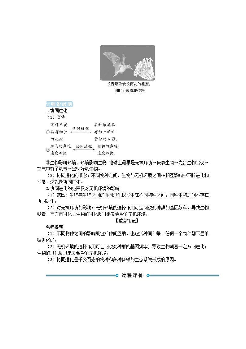 2024版新教材高中生物第6章生物的进化第4节协同进化与生物多样性的形成学生用书学案新人教版必修203