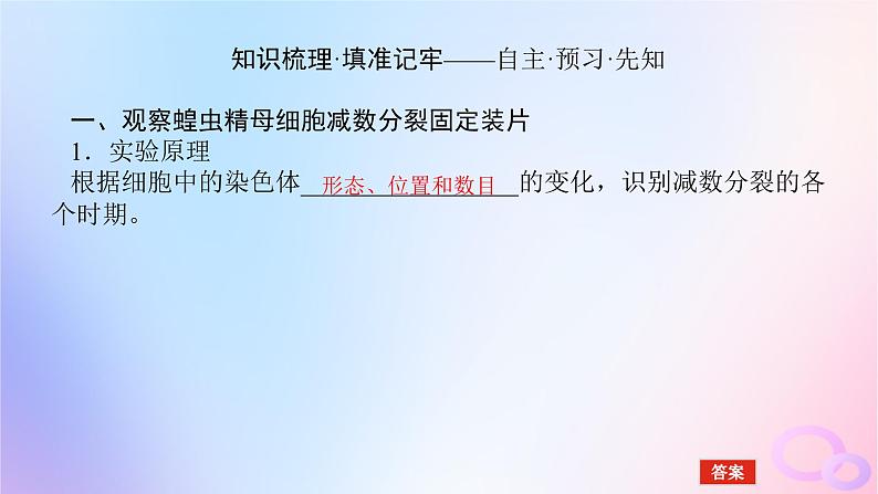 2024版新教材高中生物第2章基因和染色体的关系第1节减数分裂和受精作用第2课时减数分裂和受精作用课件新人教版必修204