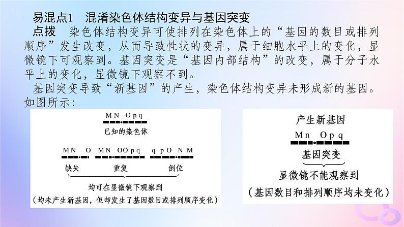 2024版新教材高中生物第5章基因突变及其他变异章末排查强化课件新人教版必修2第7页