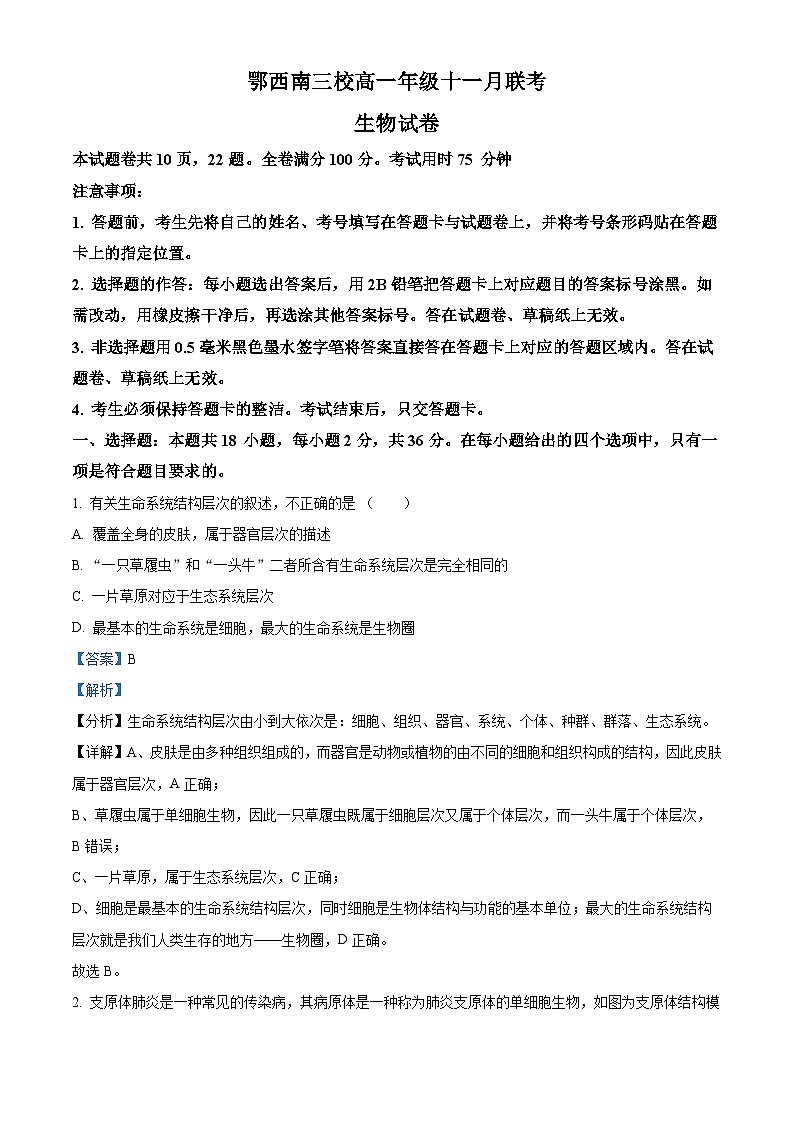 湖北省鄂西南三校聯(lián)盟2023-2024學(xué)年高一上學(xué)期11月聯(lián)考生物試題（Word版附解析）第1頁