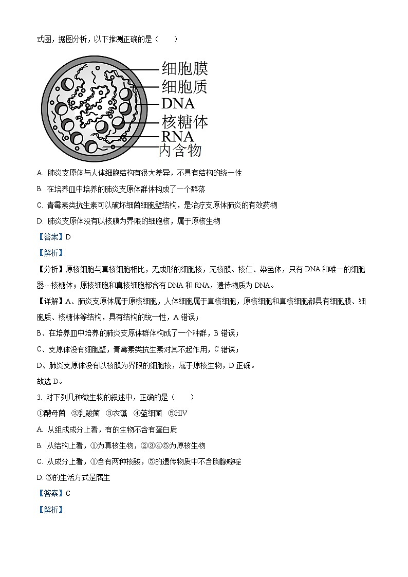 湖北省鄂西南三校聯(lián)盟2023-2024學(xué)年高一上學(xué)期11月聯(lián)考生物試題（Word版附解析）第2頁