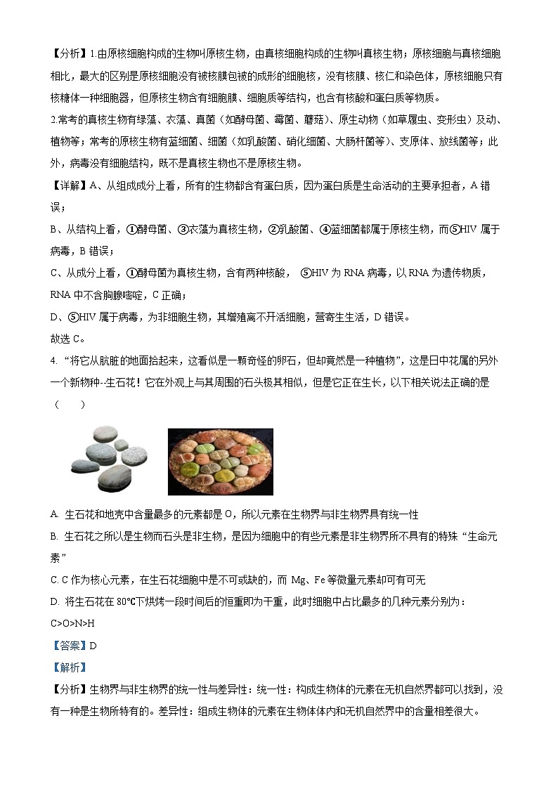 湖北省鄂西南三校聯(lián)盟2023-2024學(xué)年高一上學(xué)期11月聯(lián)考生物試題（Word版附解析）第3頁