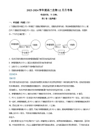 四川省南充市仪陇县仪陇中学2023-2024学年高二上学期12月月考生物试题（Word版附解析）