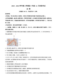 辽宁省盘锦市高级中学2023-2024学年高二上学期12月月考生物试题（Word版附解析）