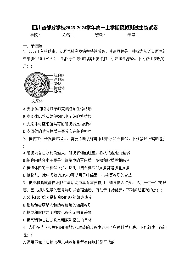 四川省部分学校2023-2024学年高一上学期模拟测试生物试卷(含答案)第1页