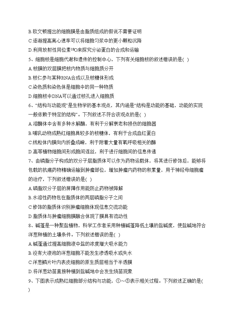 四川省部分学校2023-2024学年高一上学期模拟测试生物试卷(含答案)第2页