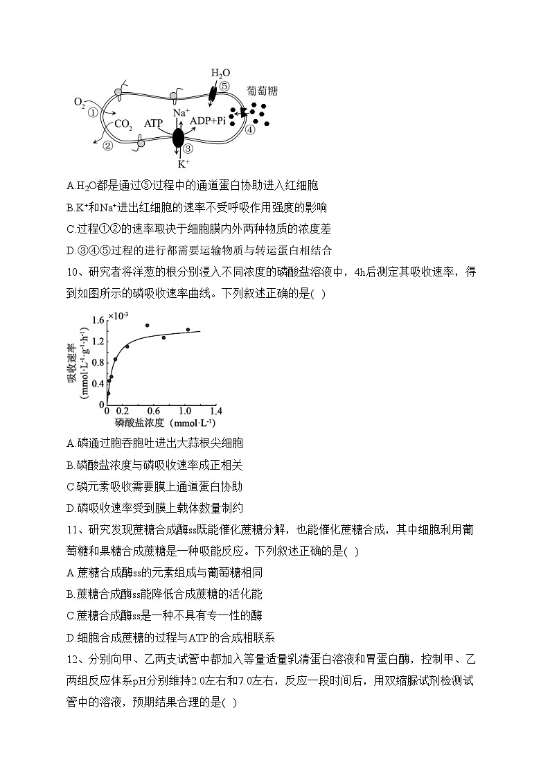 四川省部分学校2023-2024学年高一上学期模拟测试生物试卷(含答案)第3页