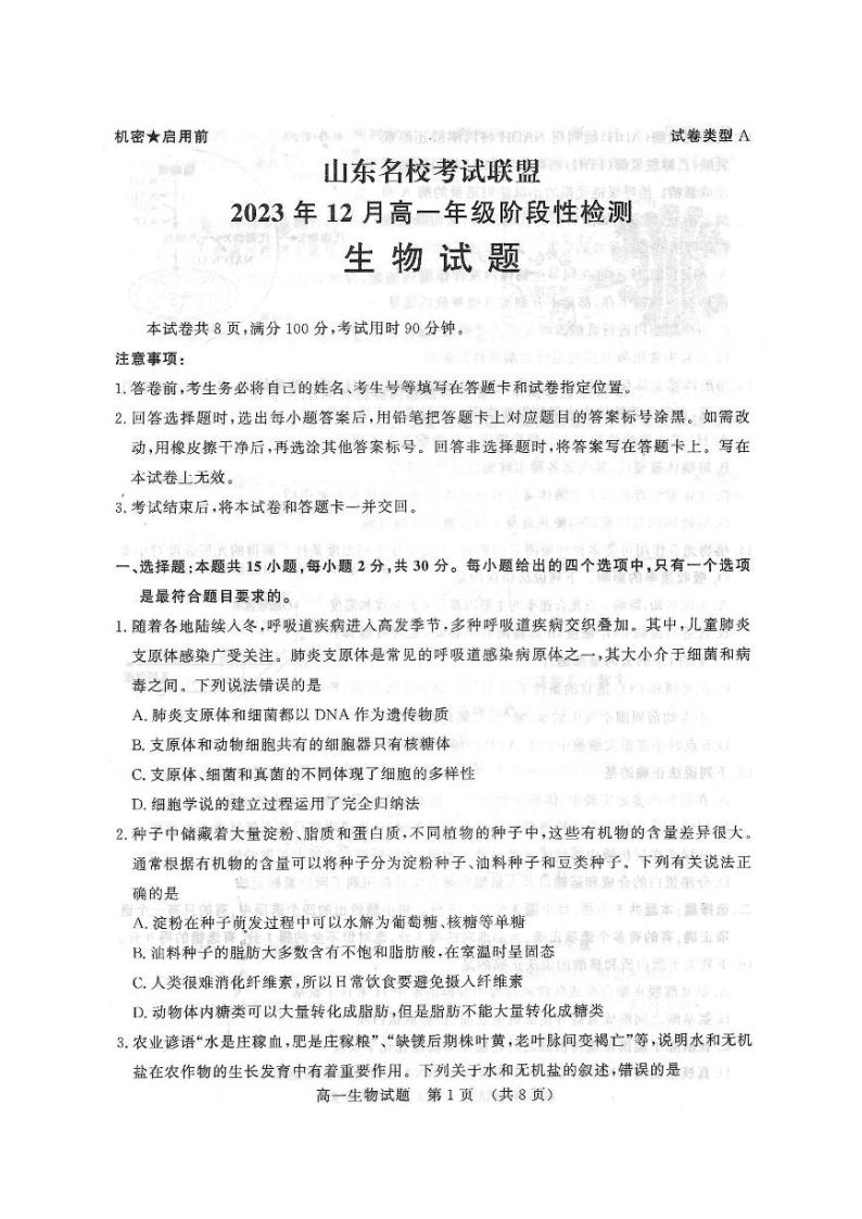 2024山东省名校考试联盟高一上学期12月阶段性检测生物PDF版含答案01