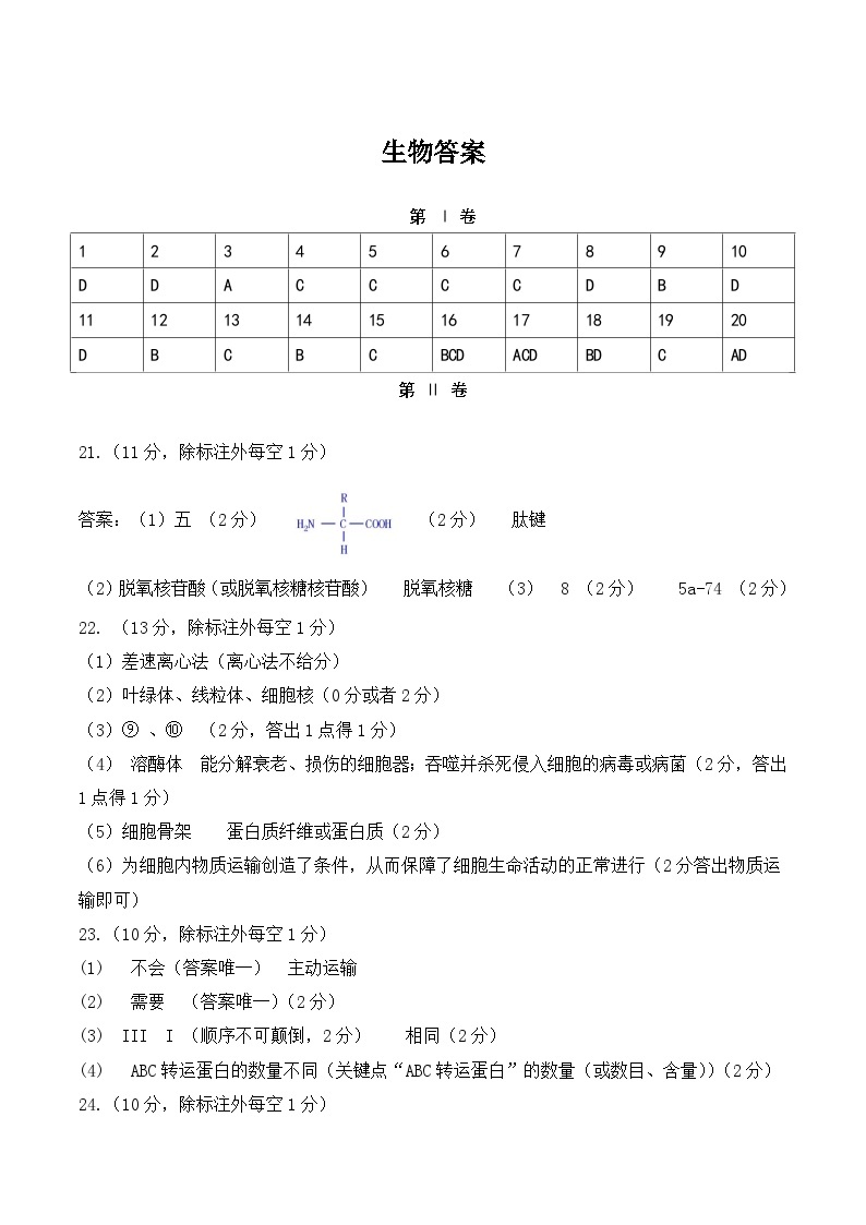 2024山东省名校考试联盟高一上学期12月阶段性检测生物PDF版含答案01