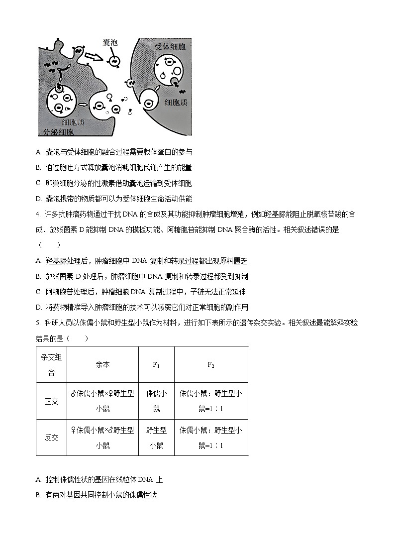 精品解析:江苏省新高考基地学校2023-2024学年高三12月月考生物试题(原卷版)第2页