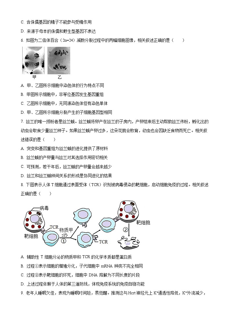精品解析:江苏省新高考基地学校2023-2024学年高三12月月考生物试题(原卷版)第3页