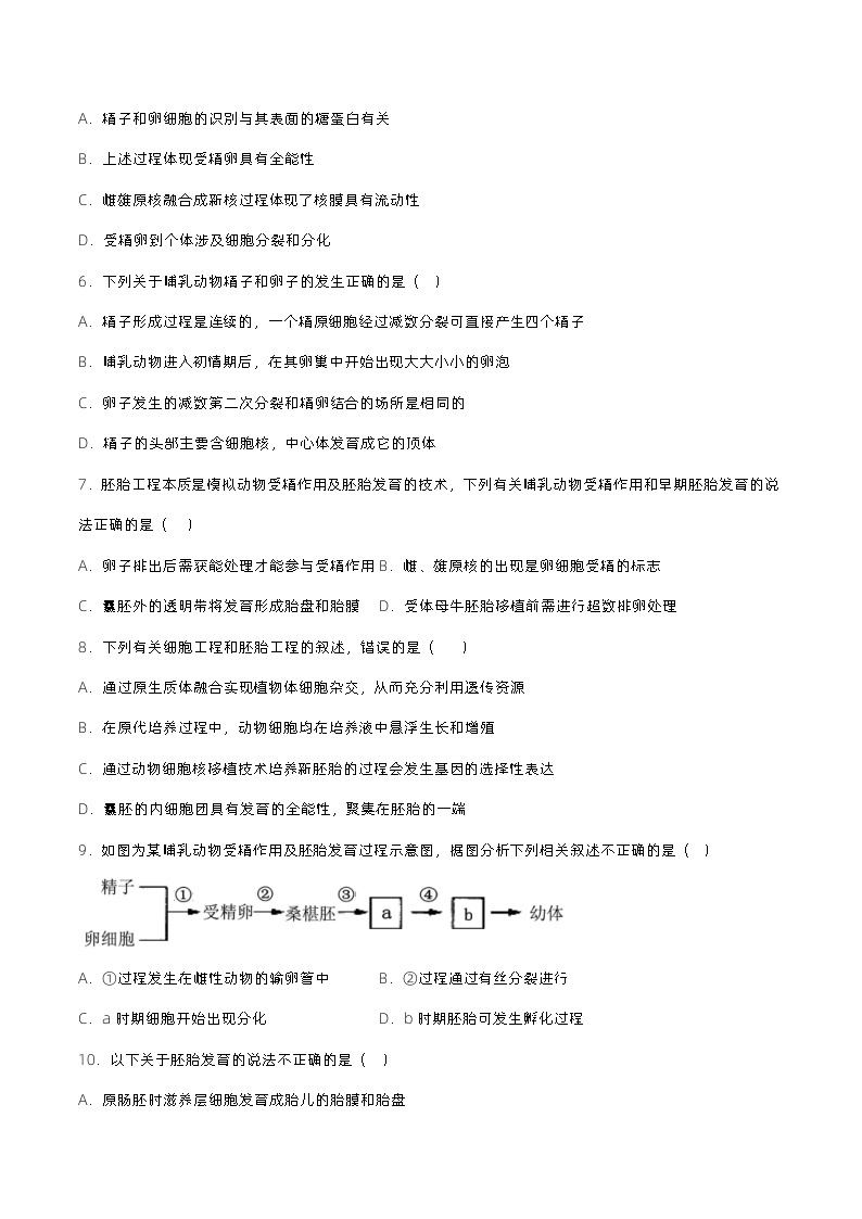 2.3.1《胚胎工程的理论基础》分层练习（原卷+解析卷）02