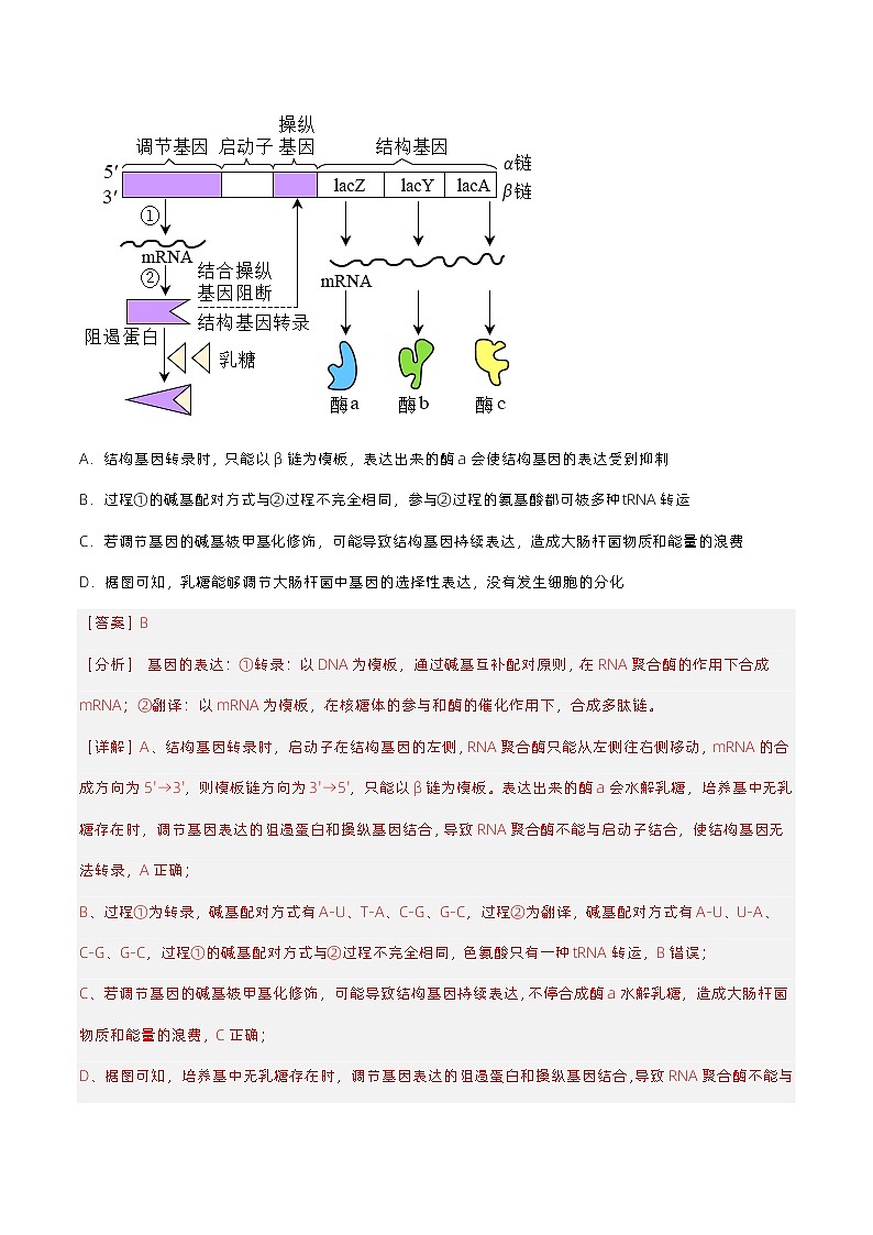 3.2.1《基因工程的基本操作程序》分层练习(原卷+解析卷)03