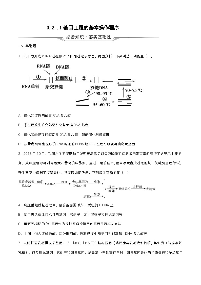 3.2.1《基因工程的基本操作程序》分层练习(原卷+解析卷)01