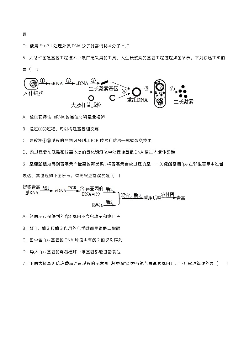 3.2.1《基因工程的基本操作程序》分层练习(原卷+解析卷)03