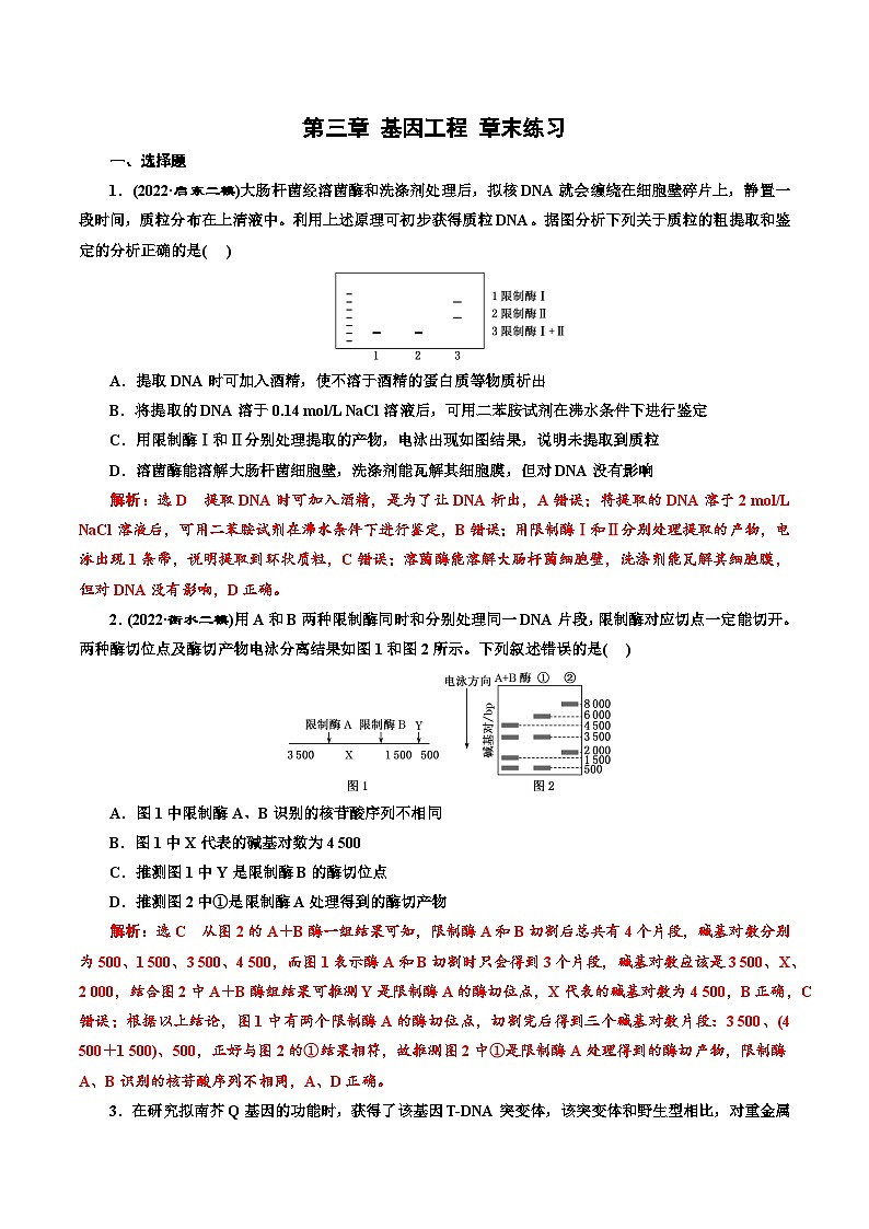 第三章 《基因工程》(解析版)分层练习第1页