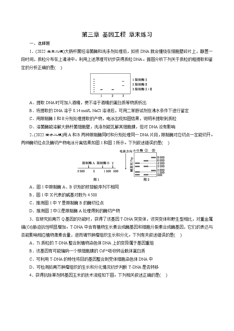 第三章 《基因工程》(原卷版)分层练习第1页
