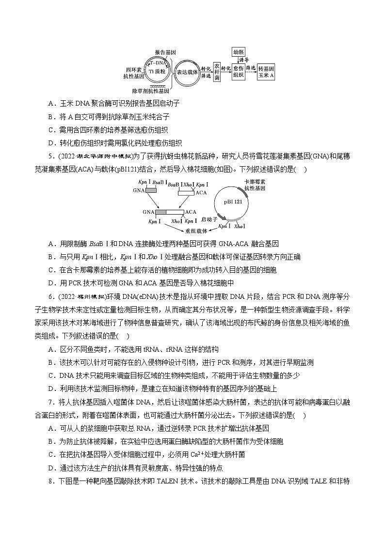 第三章 《基因工程》(原卷版)分层练习第2页