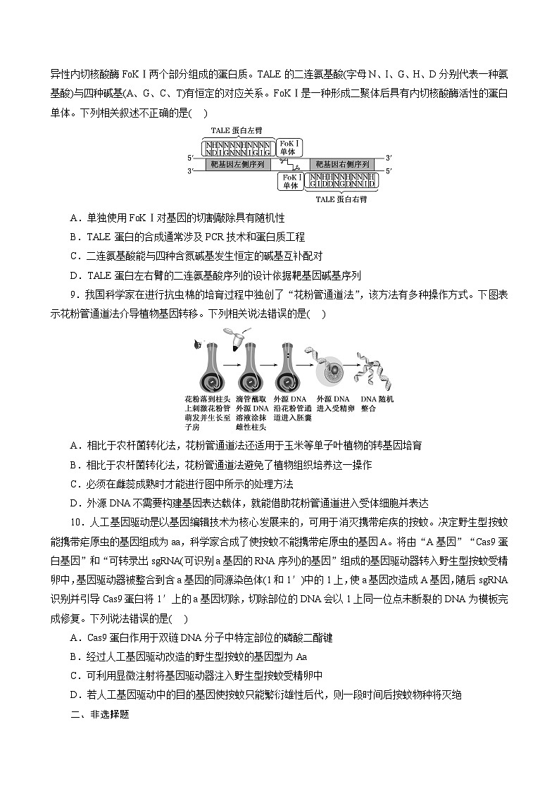 第三章 《基因工程》(原卷版)分层练习第3页