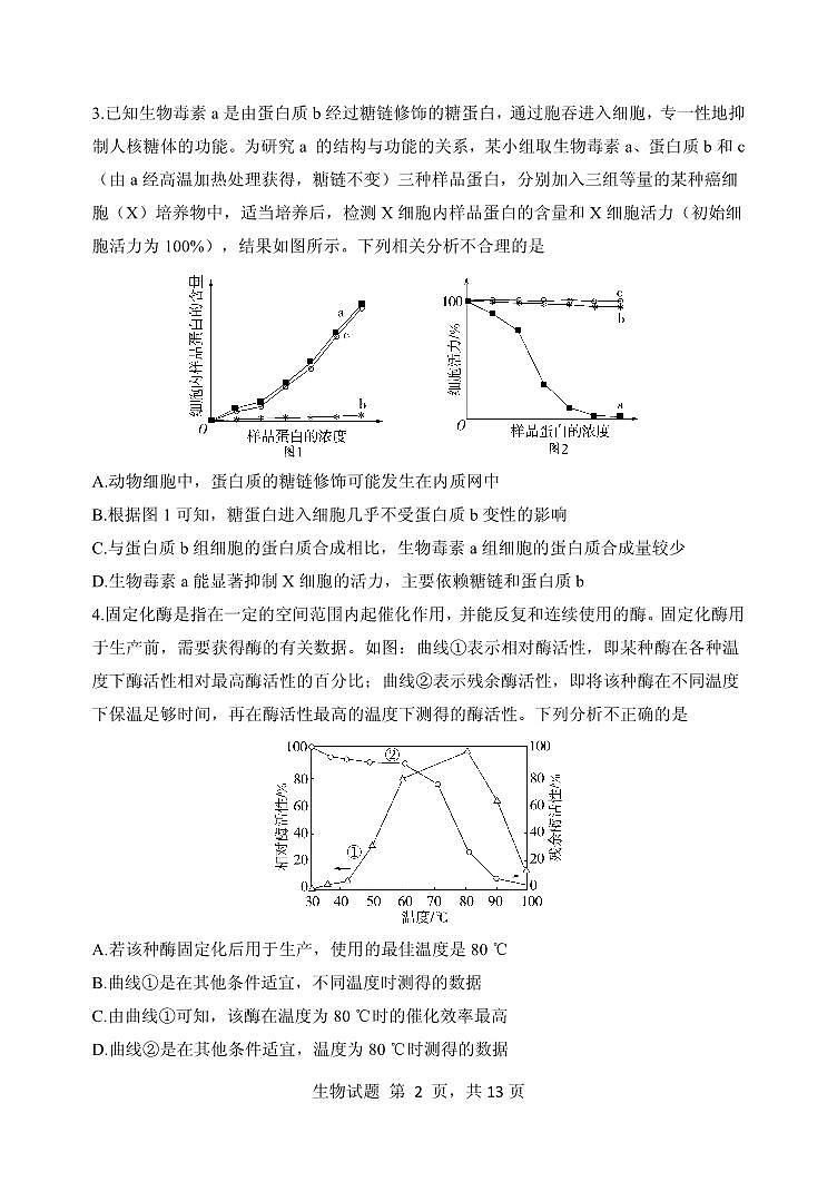 山东省实验中学2023—2024学年高三上学期第三次诊断考试生物试题02