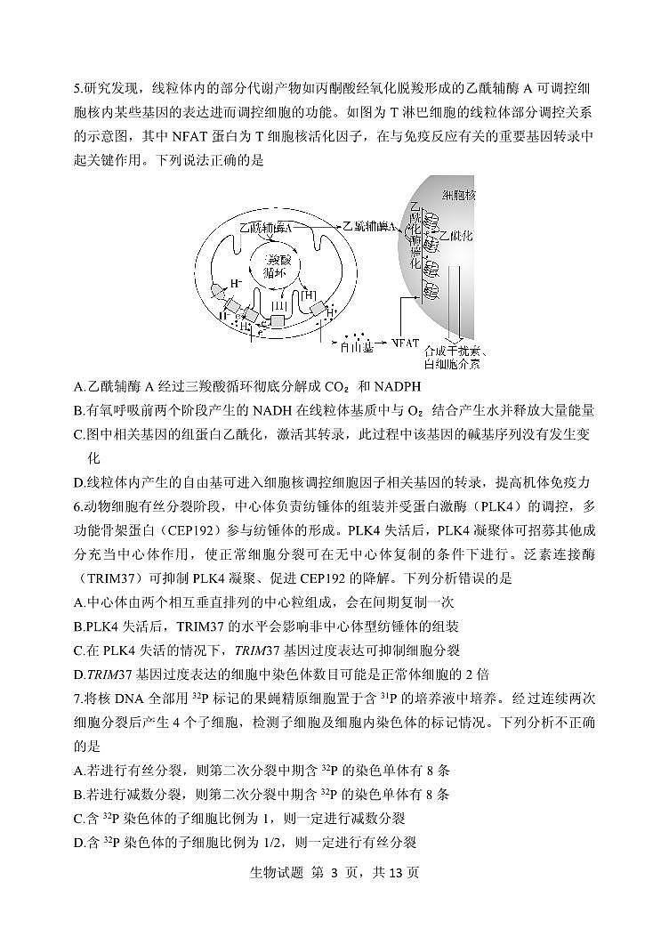 山东省实验中学2023—2024学年高三上学期第三次诊断考试生物试题03