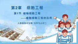 【名师特供】2.1.2《植物细胞工程的应用》 课件 人教版高中生物选修三