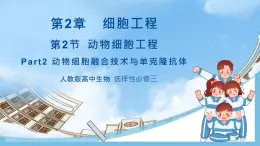 【名师特供】2.2.2《动物细胞融合技术与单克隆抗体》 课件 人教版高中生物选修三