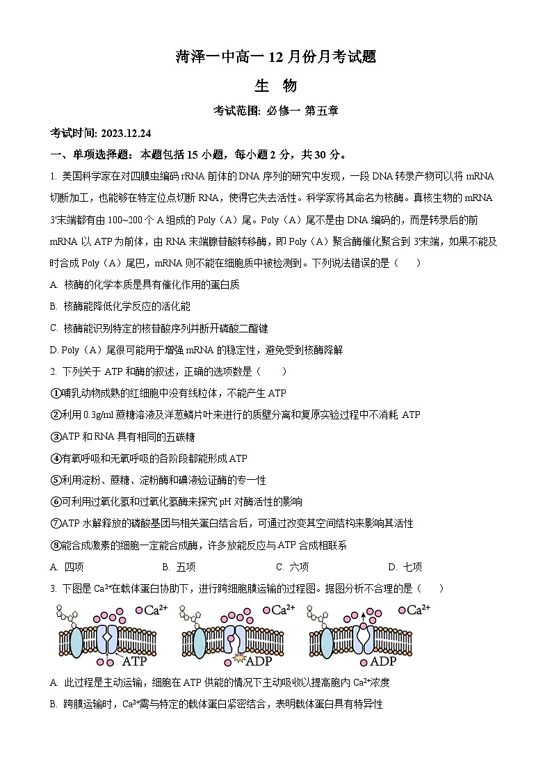 山东省菏泽市第一中学2023-2024学年高一上学期12月月考生物试题(Word版附解析)第1页