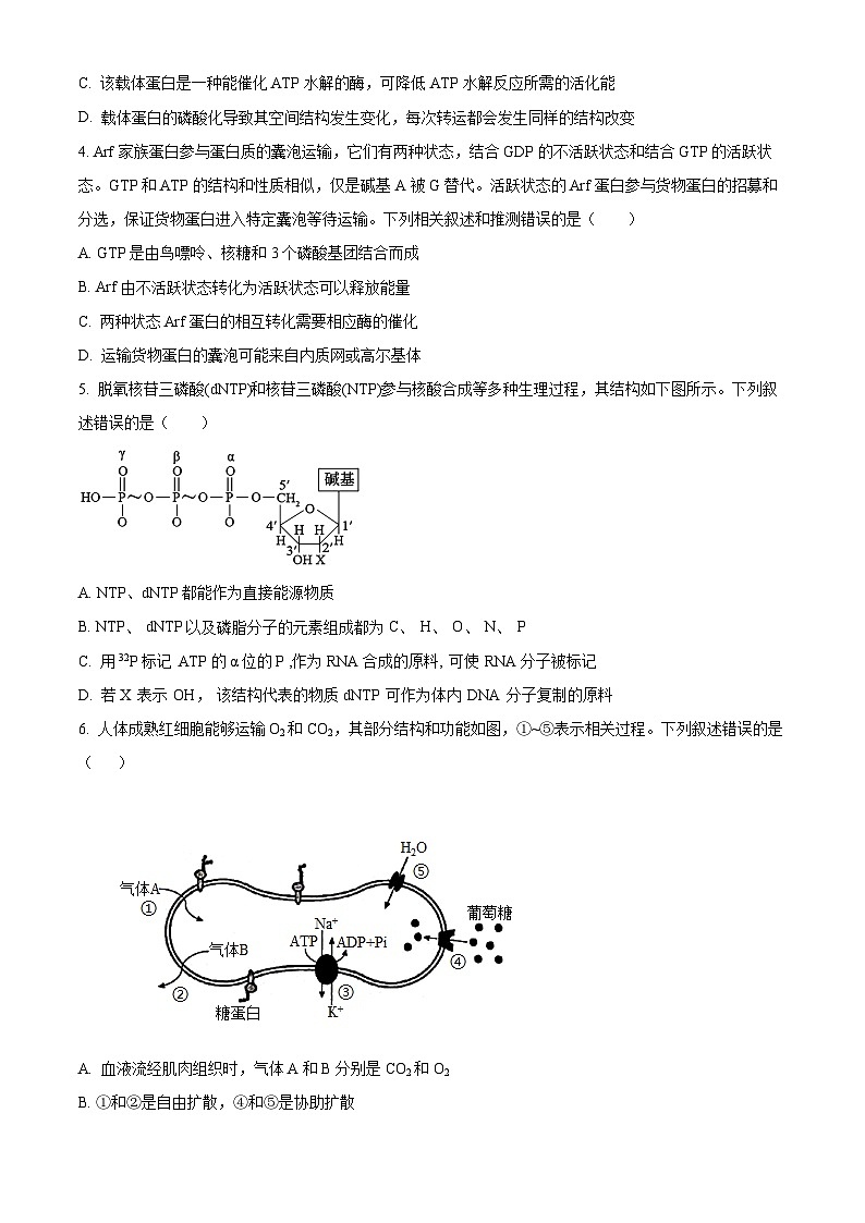 山东省菏泽市第一中学2023-2024学年高一上学期12月月考生物试题(Word版附解析)第2页