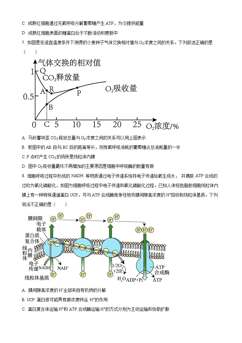 山东省菏泽市第一中学2023-2024学年高一上学期12月月考生物试题(Word版附解析)第3页