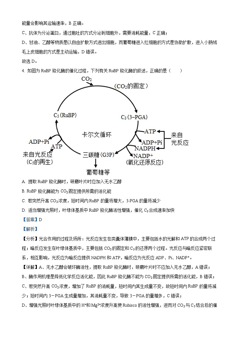 精品解析:2024届山东省名校高三模拟预测生物试题(解析版)第3页