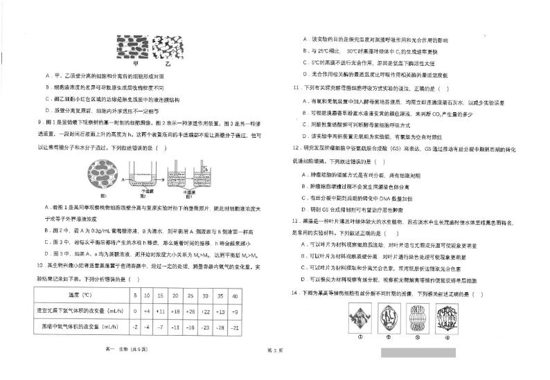 2024江苏省海安高级中学高一上学期12月月考试题生物PDF版含答案02