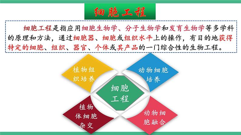 【名师特供】2.1《植物细胞工程》(第1课时) 课件 人教版高中生物选修三02