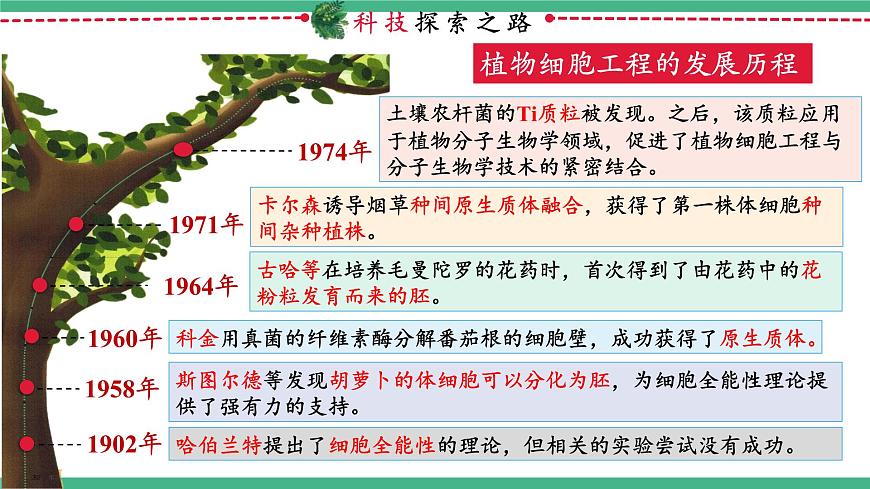 【名師特供】2.1《植物細(xì)胞工程》（第1課時(shí)） 課件 人教版高中生物選修三第4頁