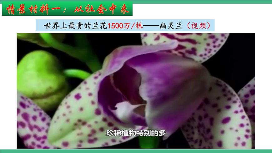 【名師特供】2.1《植物細(xì)胞工程》（第1課時(shí)） 課件 人教版高中生物選修三第6頁