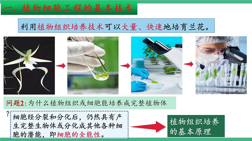 【名師特供】2.1《植物細(xì)胞工程》（第1課時(shí)） 課件 人教版高中生物選修三第8頁