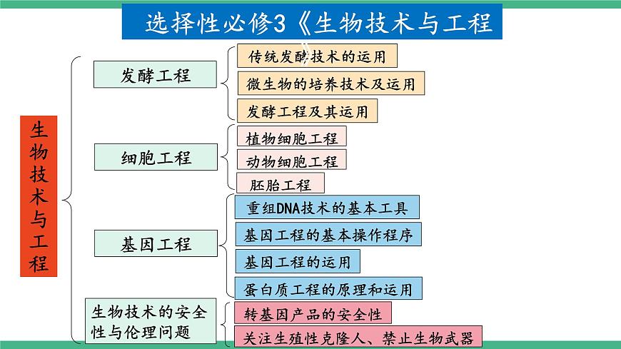 【名師特供】2.1《植物細(xì)胞工程》（第2課時(shí)） 課件 人教版高中生物選修三第2頁