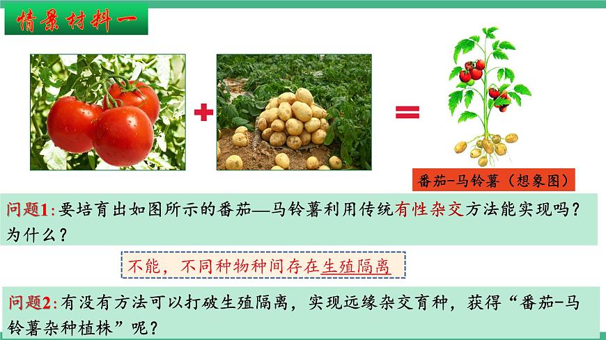 【名師特供】2.1《植物細(xì)胞工程》（第2課時(shí)） 課件 人教版高中生物選修三第4頁