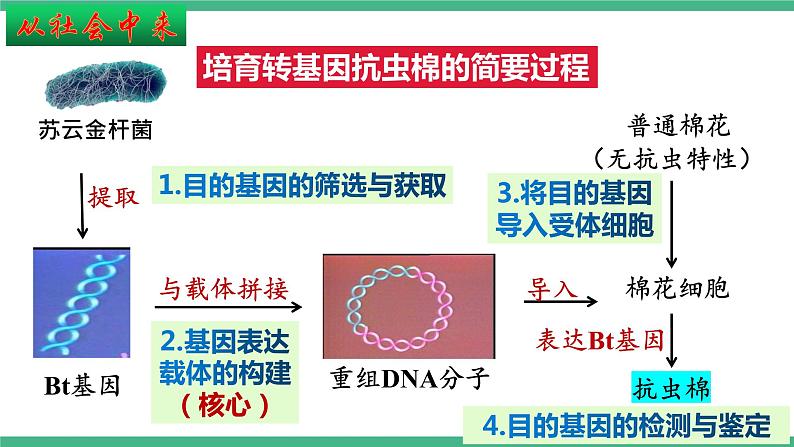 【名师特供】3.2《基因工程的基本操作程序》(第1课时) 课件 人教版高中生物选修三04