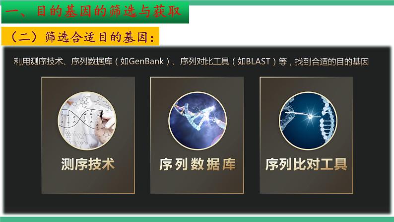 【名师特供】3.2《基因工程的基本操作程序》(第1课时) 课件 人教版高中生物选修三08