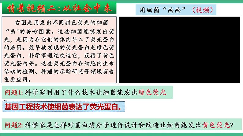 【名师特供】3.4《蛋白质工程的原理和应用》 课件 人教版高中生物选修三第5页