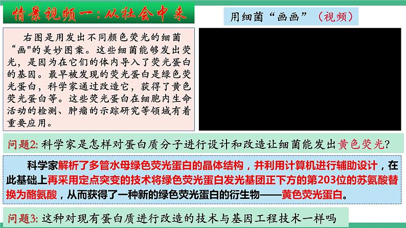 【名师特供】3.4《蛋白质工程的原理和应用》 课件 人教版高中生物选修三第6页