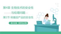 高中生物人教版 (2019)选择性必修3第1节 转基因产品的安全性优质课ppt课件