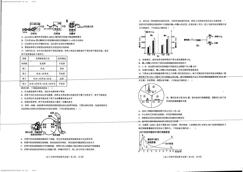 63，广东省深圳市龙岗区2023-2024学年高三上学期12月四校联考生物试题02