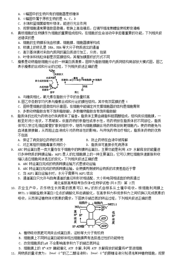 湖北省2023年新高考联考协作体高一上学期12月联考高一生物试卷02