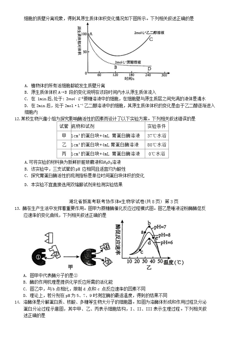 湖北省2023年新高考联考协作体高一上学期12月联考高一生物试卷03