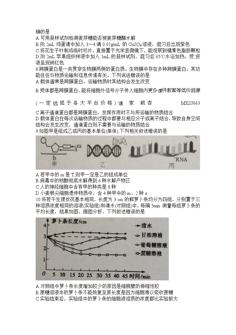 河南省信阳高级中学2023-2024学年高一上学期12月月考生物试题02