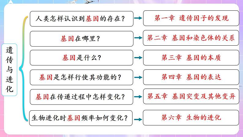 1.1《孟德尔的豌豆杂交实验(一)》(第1课时) 课件 人教版高中生物必修二第2页